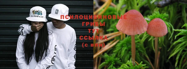 гидропоника Майский